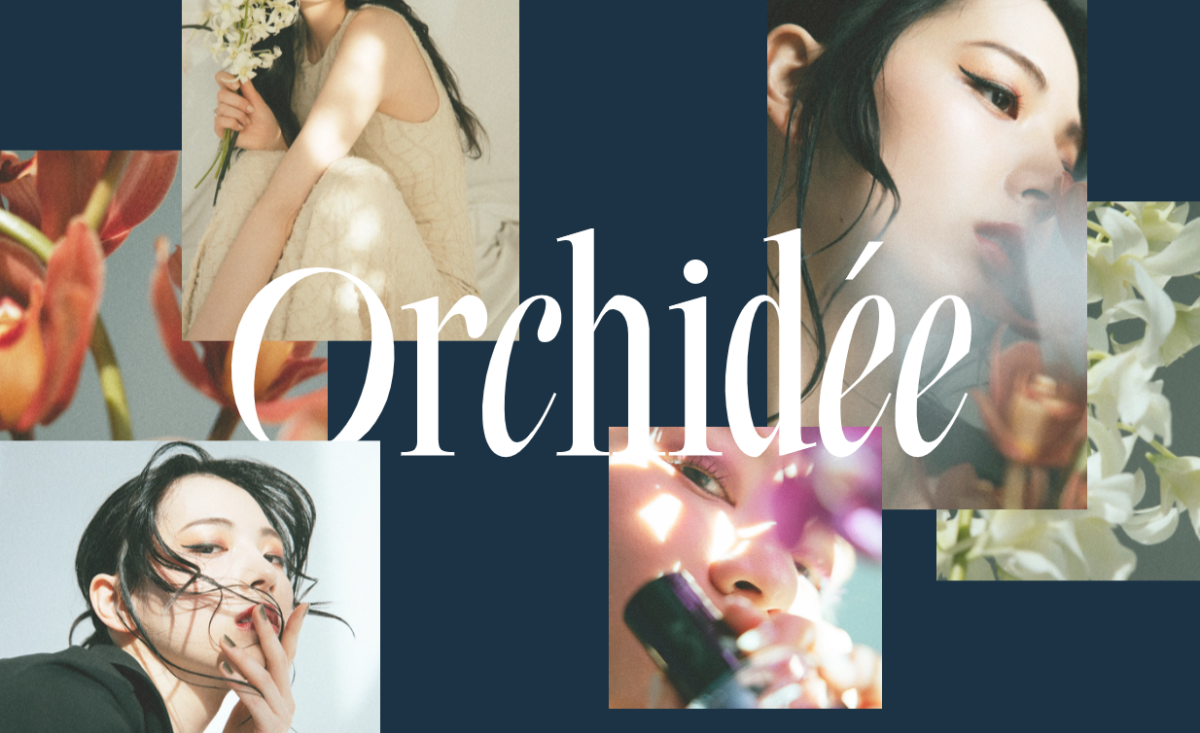 Orchidēe | GOOD HAND GROUP